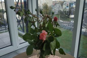 ЖК Яровица, ул. И. Франко 61 12