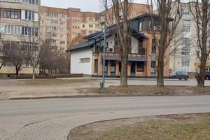 Луцк сутки Базилик 6