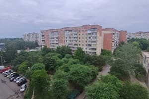 Lutsk Apartment на ул. Кравчука, 34а 4