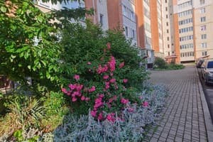 Lutsk Apartment ул.Арцеулова 22 4
