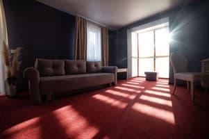 Срібні лелеки 5