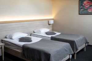 Срібні лелеки 7