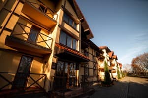 Срібні лелеки 10