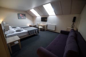 Срібні лелеки 12