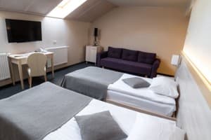 Срібні лелеки 13