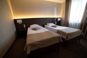 Срібні лелеки 16