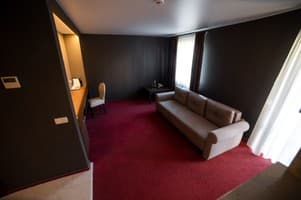 Срібні лелеки 17