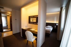 Срібні лелеки 18