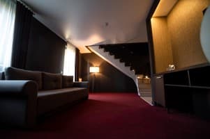 Срібні лелеки 19