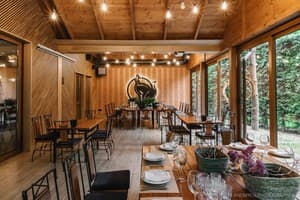 Срібні лелеки 2