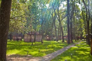 Зеленый Гай 9